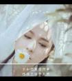 一周属狗人地什么命(属狗人几月份)