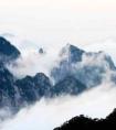 下周生肖鼠的合不合(鼠不合适的生肖)