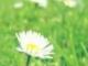 5月4日是什么节日(5月4号是啥节日)