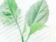 三月十四号什么日子(三月十四号是什么节)
