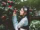 上坟为什么不能带香蕉(上坟带桃子香蕉可以吗)