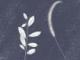 中国核应急救援队(中国核应急救援队LOGO)