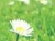 10月31日是什么节(10月31日是什么节日怎样祝福)