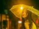 600128股吧(600498 股吧)